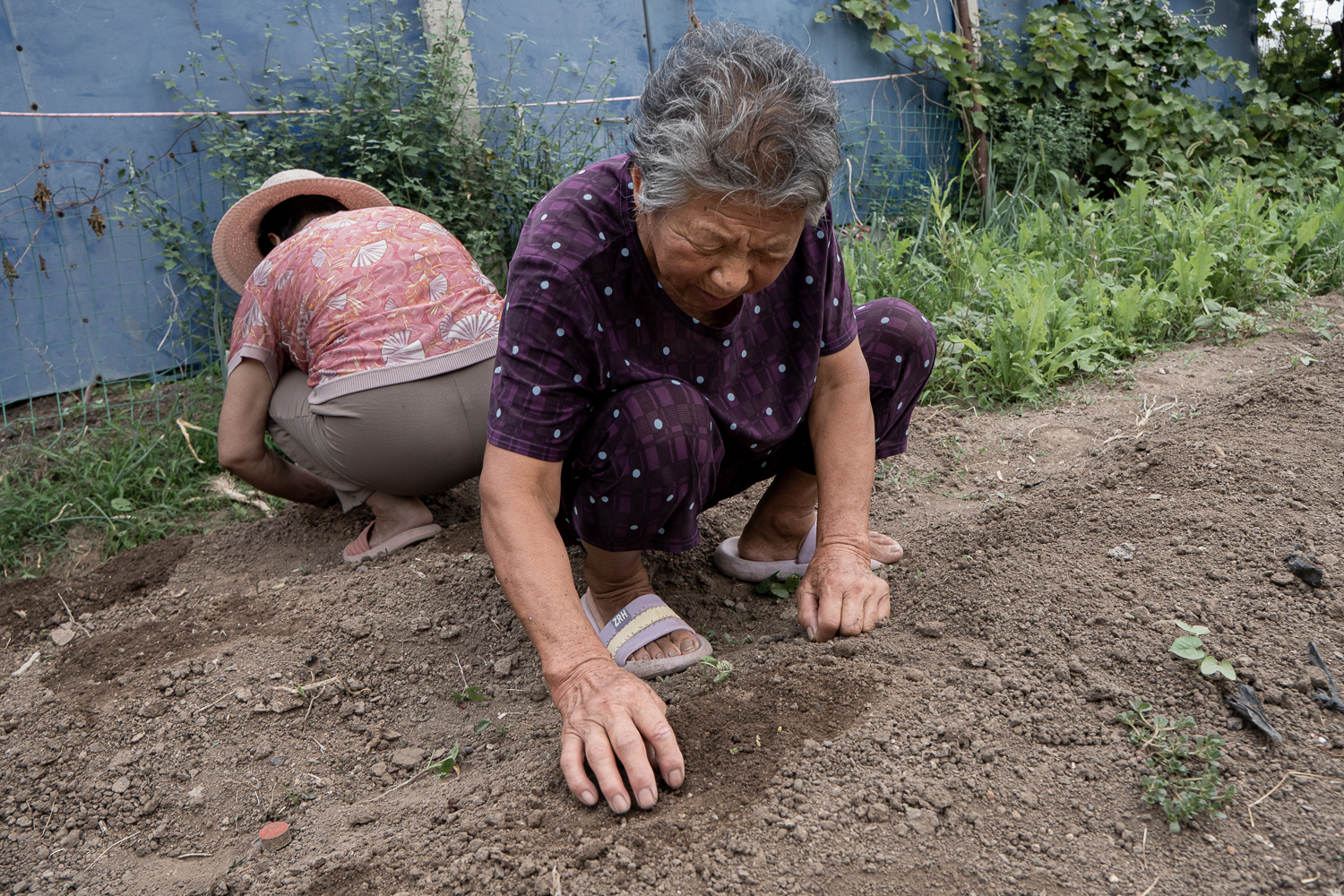 Two people crouching beside each other to work the soil in a garden.